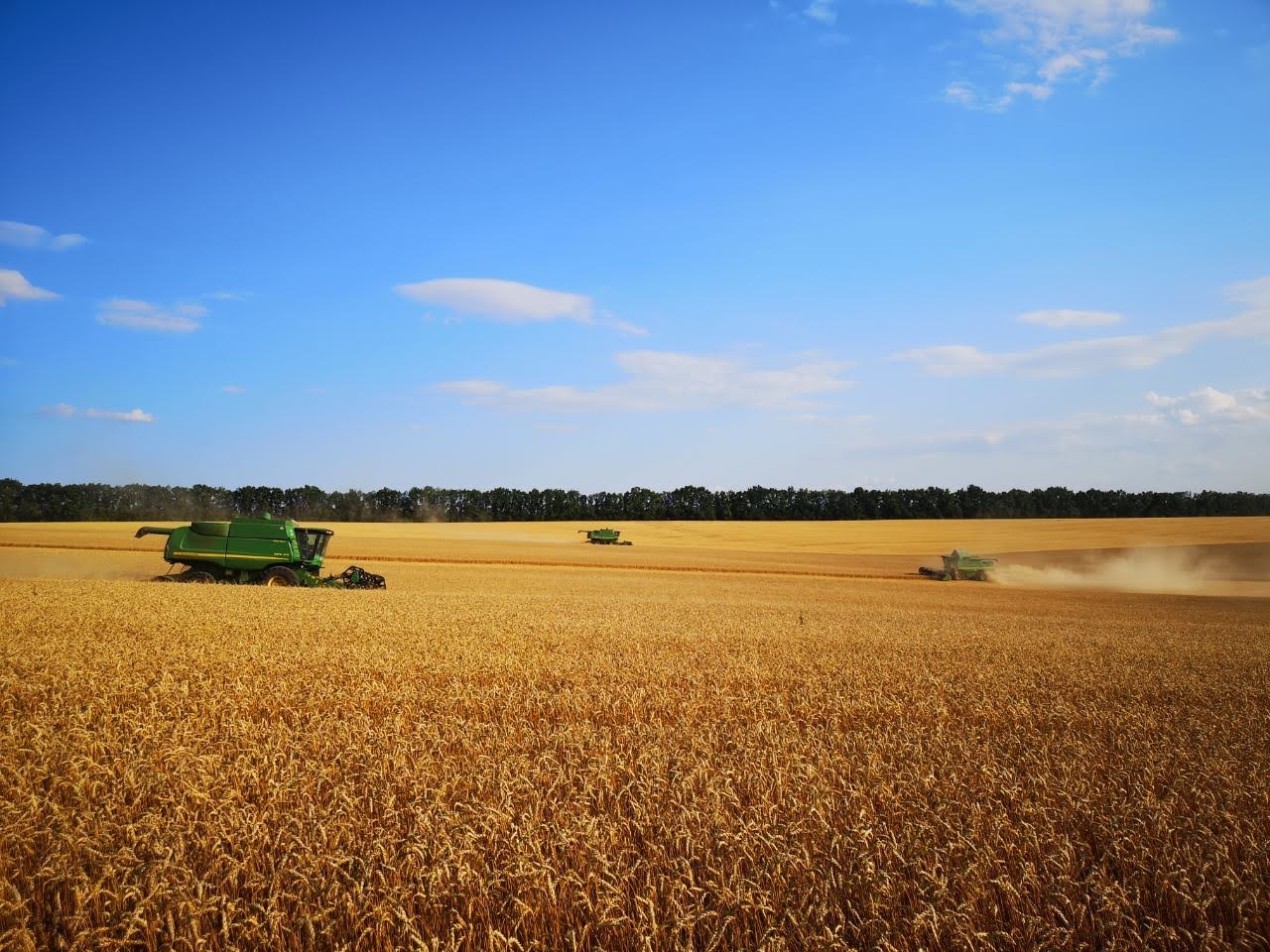 Производственные подразделения УПИ-АГРО завершили уборку ранних зерновых с традиционно высокими результатами
